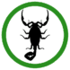 Scorpion icon.
