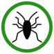 Cockroach icon.