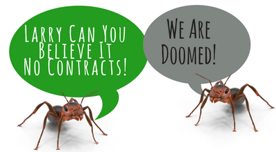 Guidelines to Select the Best Pest Control Company in San Antonio