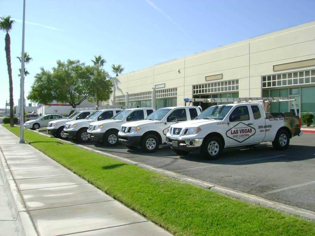 Fleet of Las Vegas Pest Control Trucks