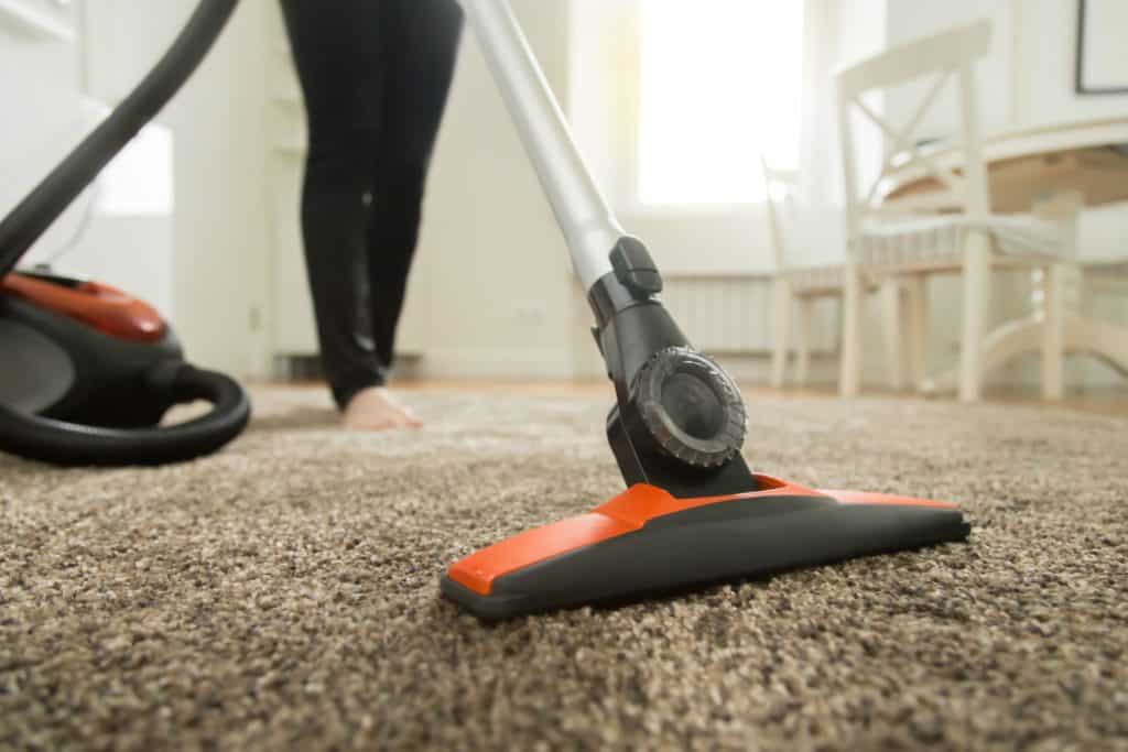Person vacuuming a carpet.