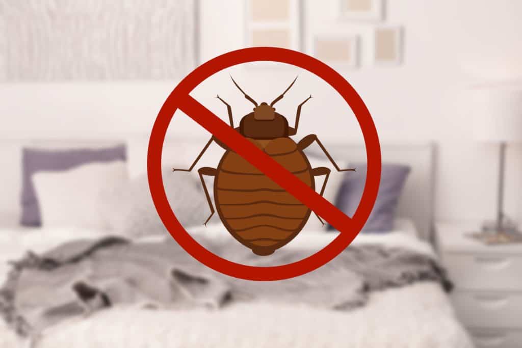 keeping bed bugs from your home