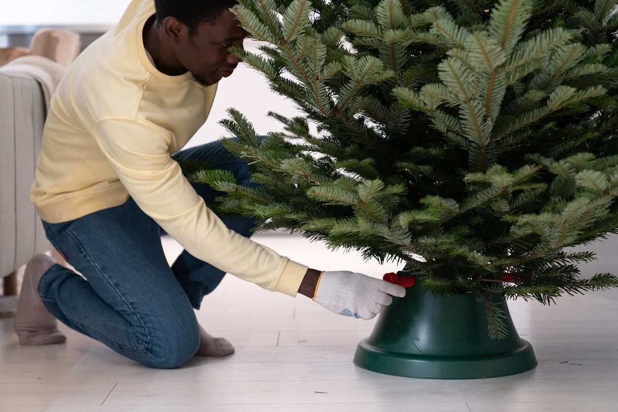 A man wearing gloves fits a christmas tree into its base