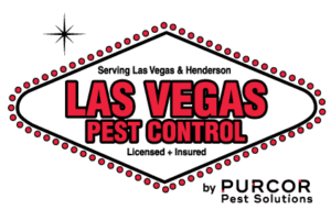 Las Vegas Pest Control by PURCOR Pest Solutions.