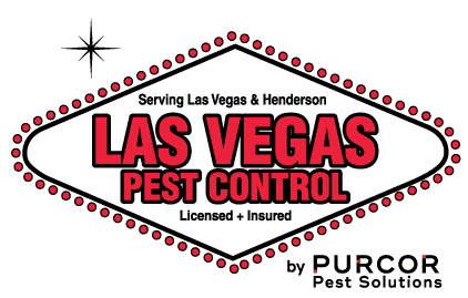 Las Vegas Pest Control