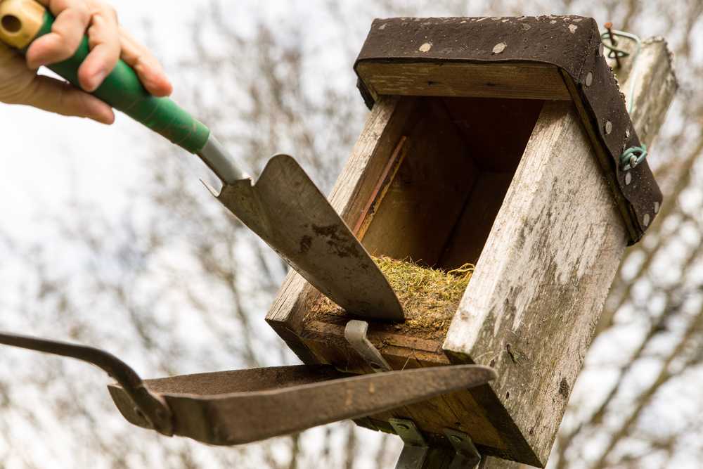 Featured image for Bird Nest Removal Guide: Safe Timing & Best Practices