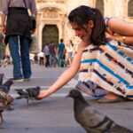 A woman in a patterned dress crouches on a city square, reaching out to feed pigeons—despite the health risks they present. People walk and stand in the background, with a historic building visible.