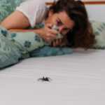 A person lying in bed holds a blanket up to their face, looking at a large spider on the white bedsheet in front of them. The bedding has a green and blue floral pattern.