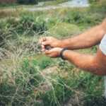 A person wearing a gray shirt stands outdoors, safely holding a small bird in their hands near dried branches and green grass, with water and vegetation visible in the background—reminding us of the importance of safety and laws during birds nest removal.