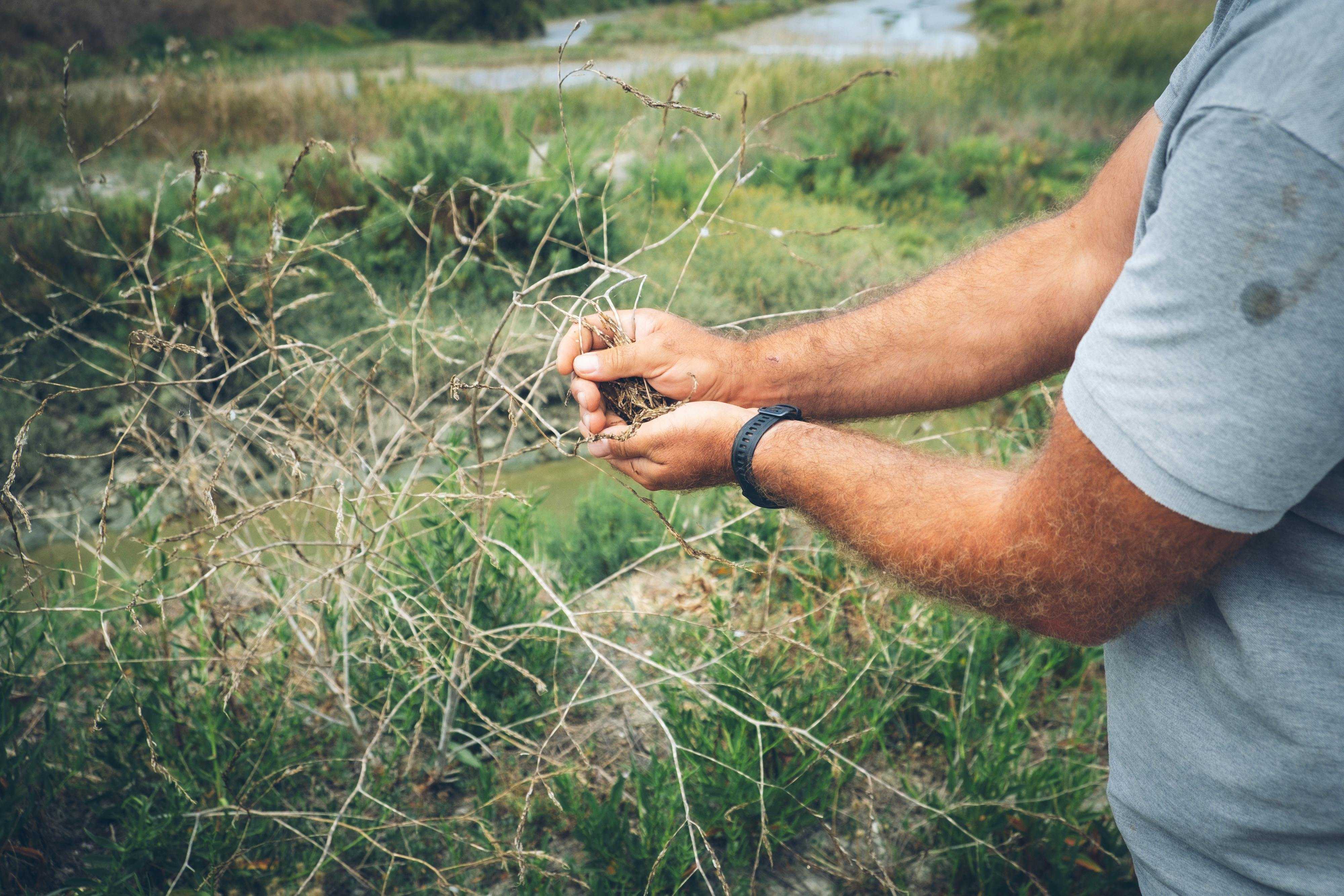 Featured image for Bird Nest Removal: How to Do It Safely and Legally